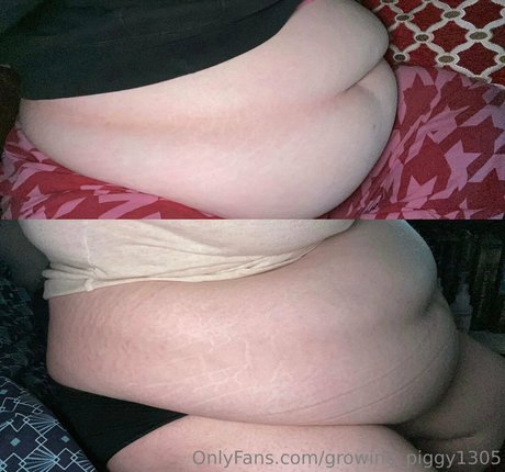 growing piggy1305 限定モデル ギャラリー