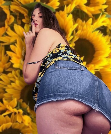 dommetomorrow free プロフィール写真