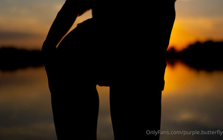 purple butterfly HDモデル アーカイブ