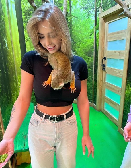 missashley19 xxxポルノスター アーカイブ