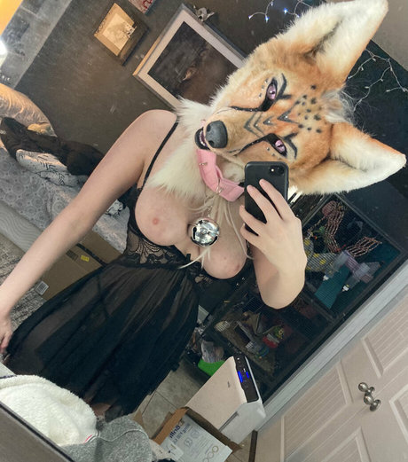 LividPuppy ポルノスター セックス 画像