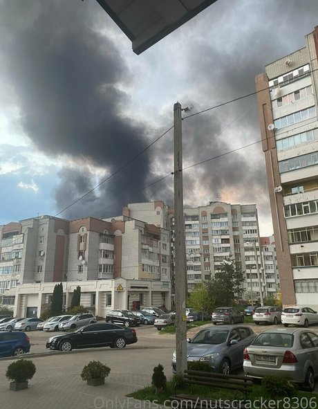 nutscracker8306 無料のポルノスター ギャラリー