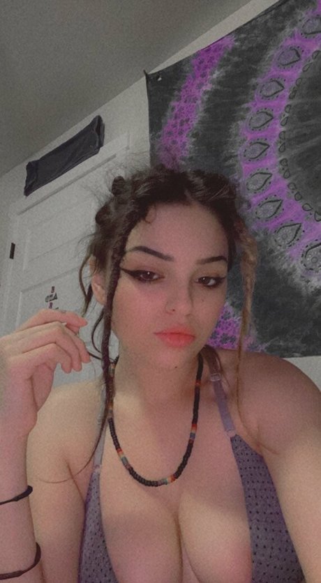 tokin bears 最高のスター 写真