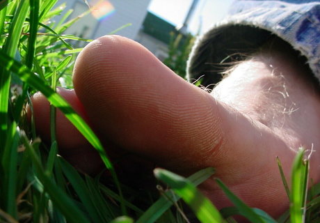 homegiant ポルノモデル 画像