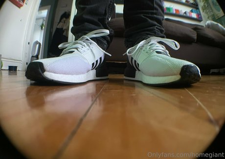 homegiant 完璧なモデル 写真