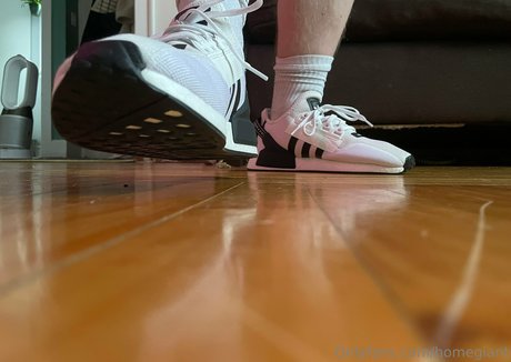 homegiant HDモデル 画像