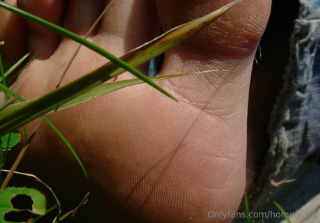 homegiant ヌードのポルノスター アーカイブ