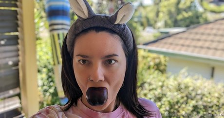 annalicia arts トップポルノスター ギャラリー