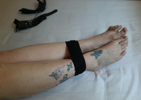 獣医オンリーファンズ 無料セックス 写真