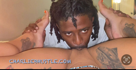 bigmingo 高品質スター ギャラリー