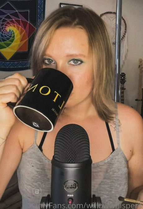 willowwhispers アートモデル アーカイブ