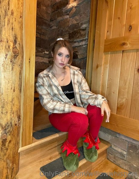 willowwhispers ポルノスター 写真