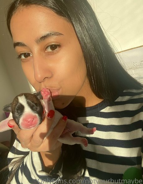 dayana wifey 美しいスター ギャラリー