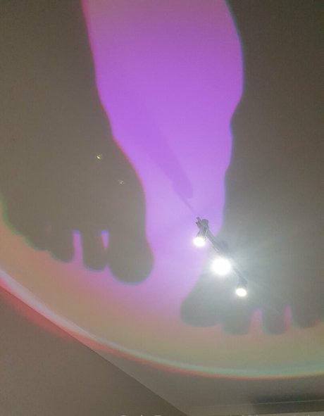 アナル乱交オンリーファンズ えろた アーカイブ