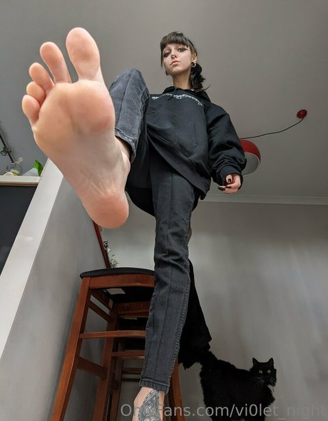 vi0let night トップスター アーカイブ