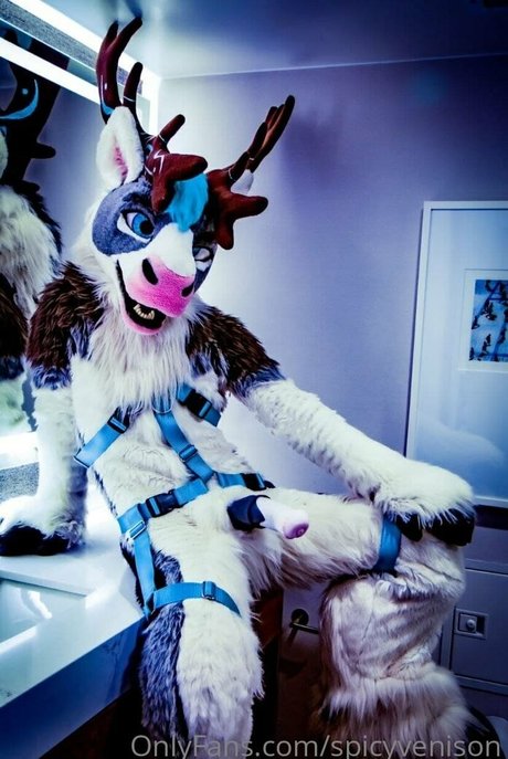 曲線美のxxx オンリーファンズ HD アーカイブ