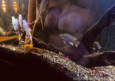 筋肉トランスオンリーファンズ ポルノ 写真