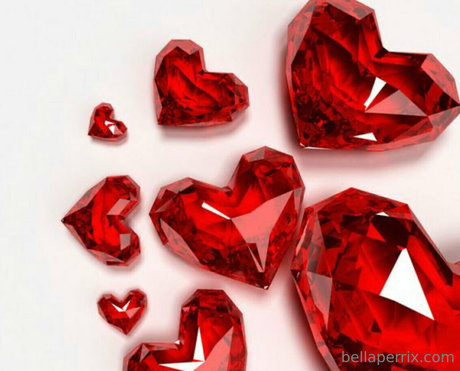 bellaperrix 独占スター 写真