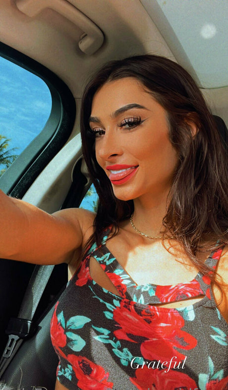 fsusophivip トップスター 画像