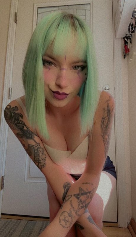 violets cabaret 美しいスター 写真