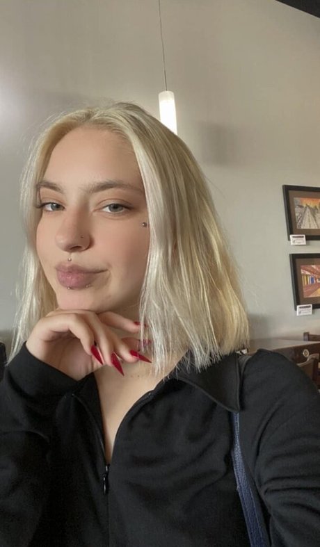 violets cabaret 高品質スター 写真