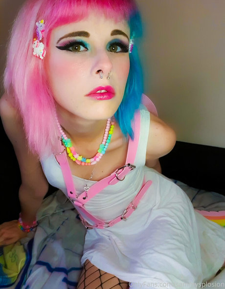 Sammy Splosion 高品質スター 画像