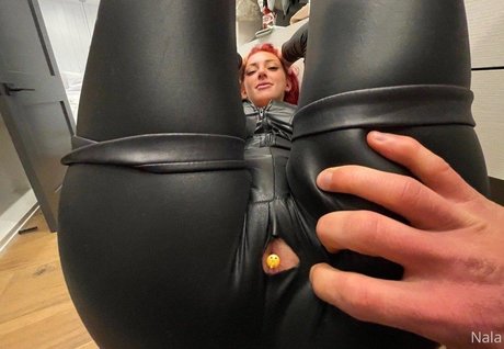 Queen soft400 美しいモデル 画像