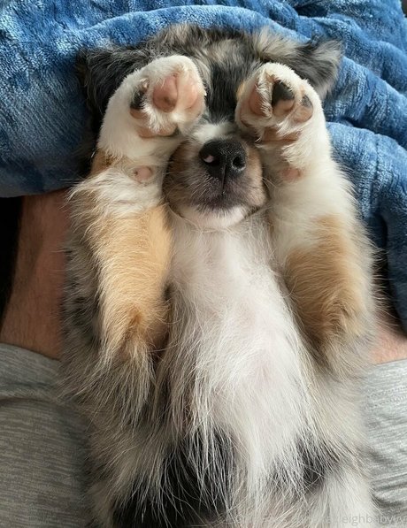 Kayleighbabyyy セックススター 画像