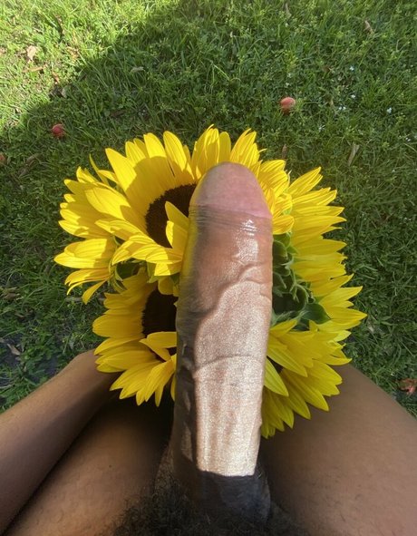 AllynRa ポルノスター 写真