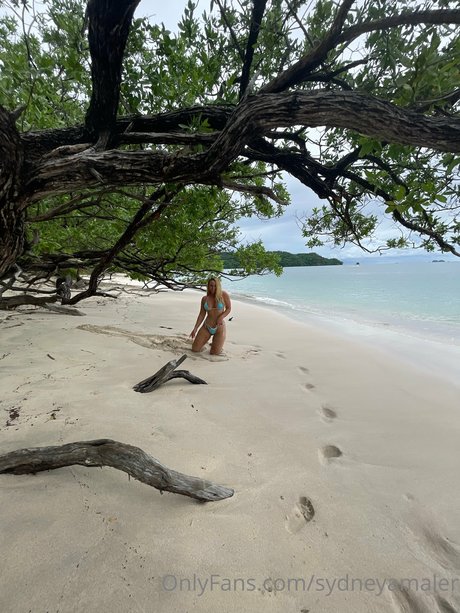 Sydney Maler 写真集