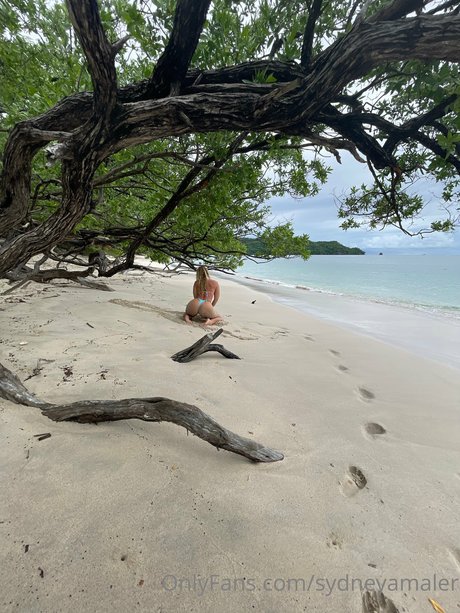 Sydney Maler ポルノ女優 写真