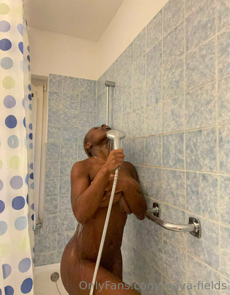 Maya fields 写真集