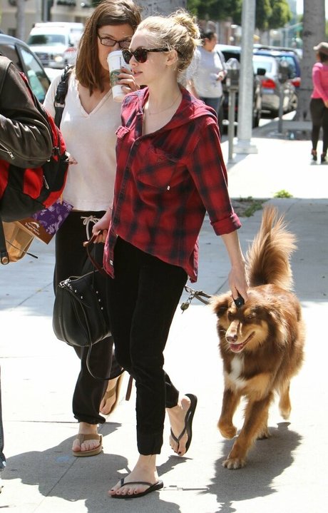 Amanda Seyfried プロフィール写真