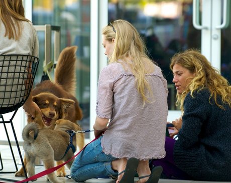 Amanda Seyfried ホットモデル 画像