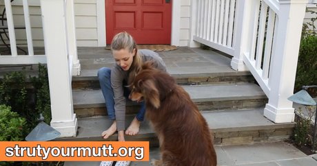 Amanda Seyfried 写真集