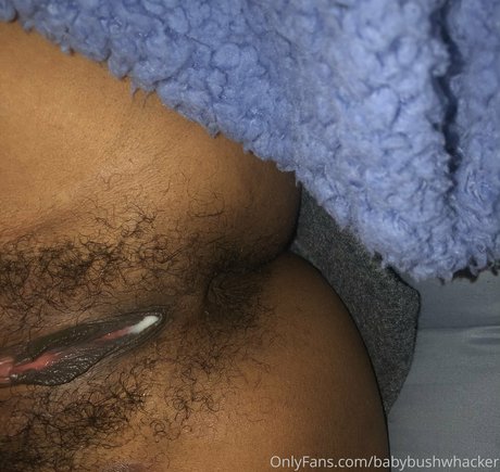 Baby Bush Whacker ポルノスター 画像