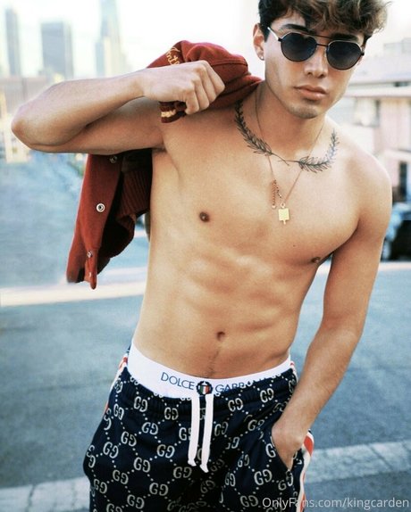 aedanvip 美しいスター ギャラリー