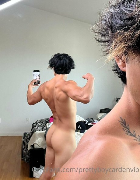 aedanvip アート女優 写真