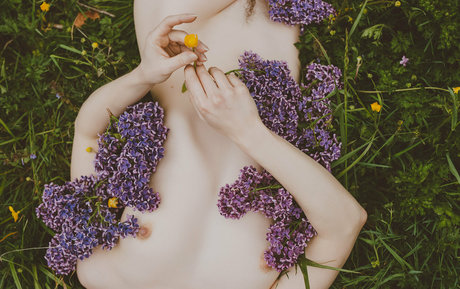 vauntastic アートモデル 画像