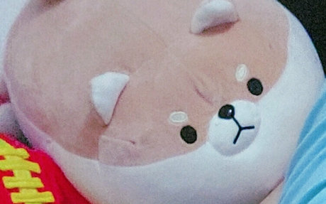 fijisaki star ポルノスター 画像