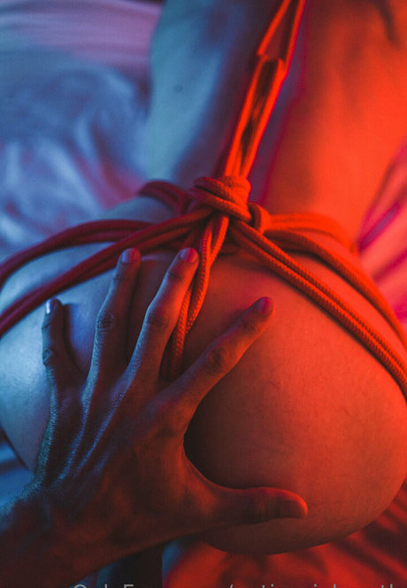 antisocial moth 完璧なモデル 写真