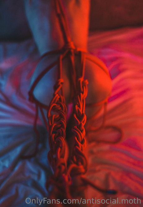 antisocial moth 独占スター 写真