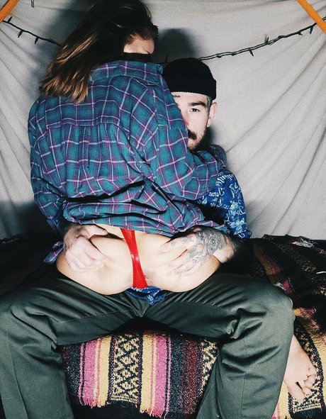 ブラジルの猫オンリーファンズ 素敵 写真