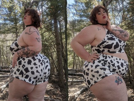 belthaneb 限定スター ギャラリー