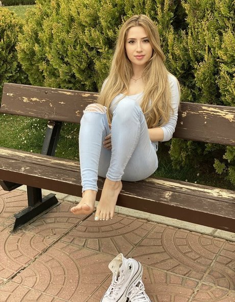 Dianacane1 無料のスター 画像