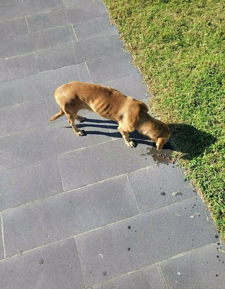 ドイツのアマチュアオンリーファンズ エロ 写真