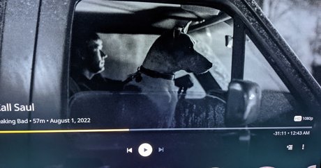 Natalie Minx トップ女優 写真