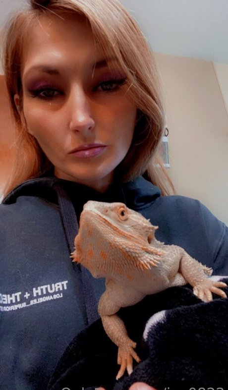 joy0822 HDモデル 画像