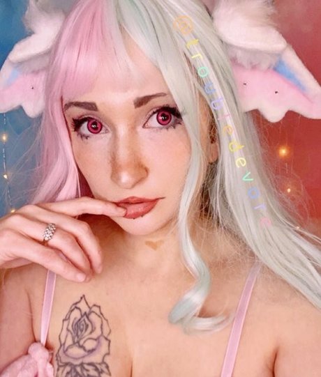 Triflindevore アートスター 写真