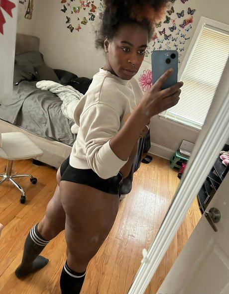 armilann HDスター ギャラリー